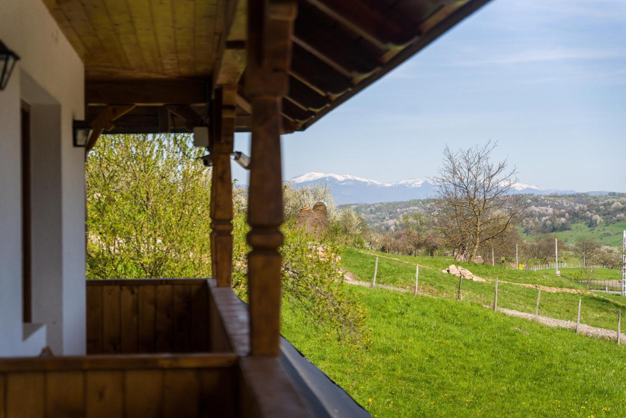 Pensiunea Roca Maramures Deseşti Buitenkant foto